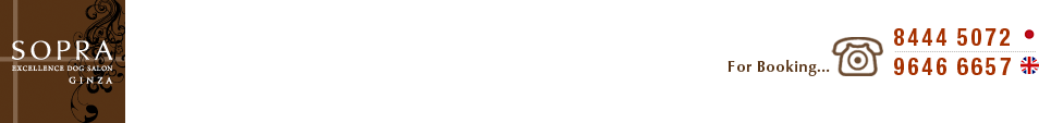 Demo
